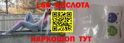 крисы Славгород