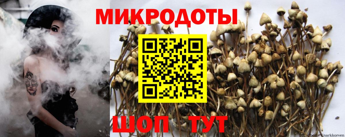 Углич  Псилоцибиновые грибы Cubensis  Вход с VPN 